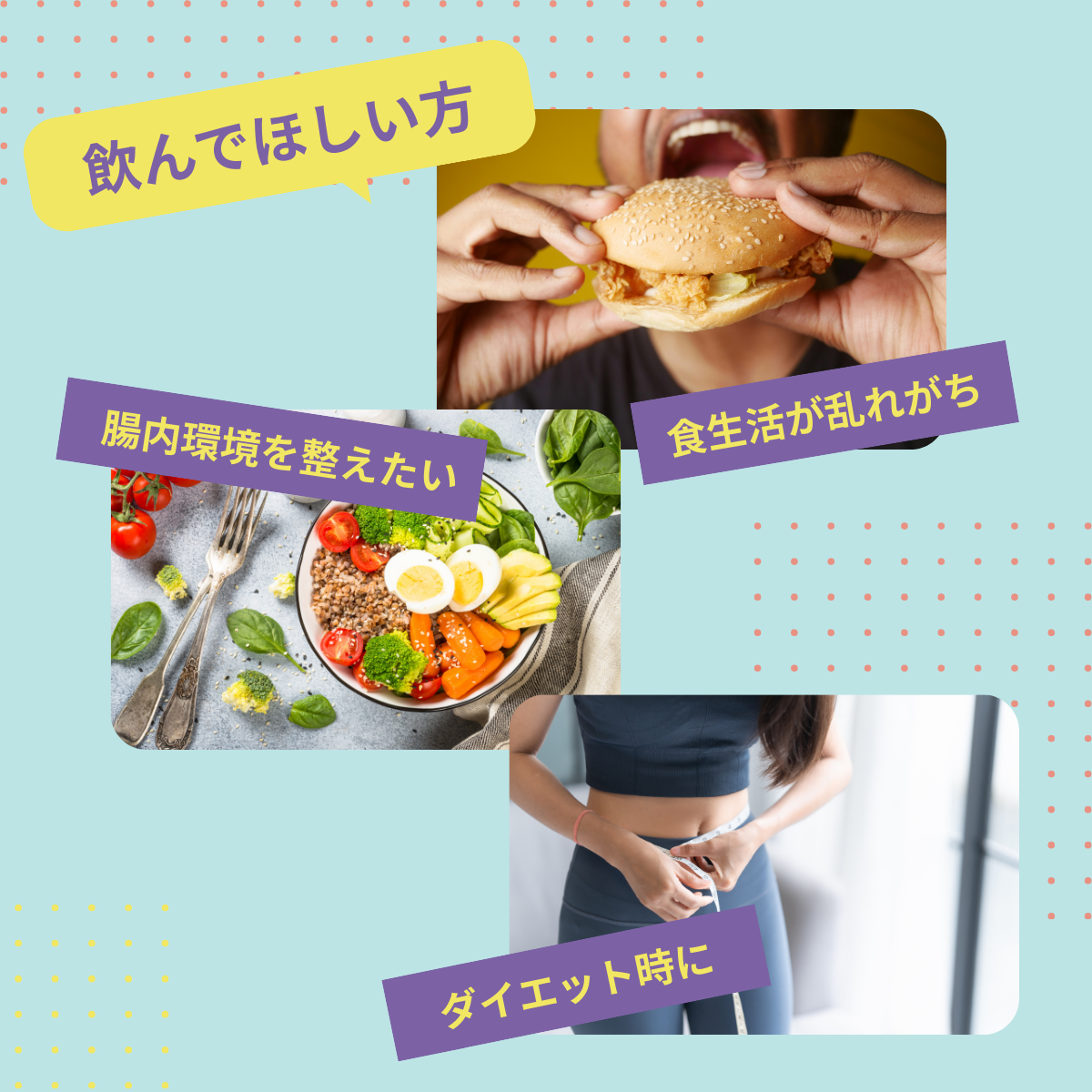 インナーケアプロテイン 14日分（ほうじ茶風味）