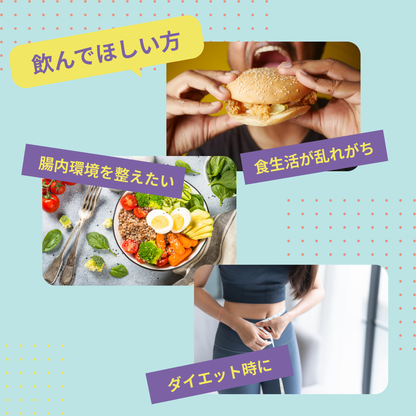 インナーケアプロテイン 14日分（ほうじ茶風味）